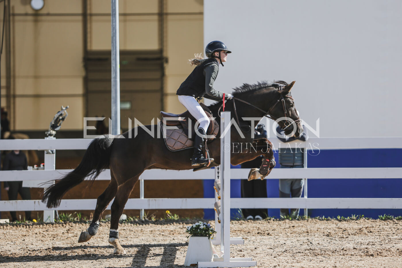 Gramina_Kevad_2026_80_062
