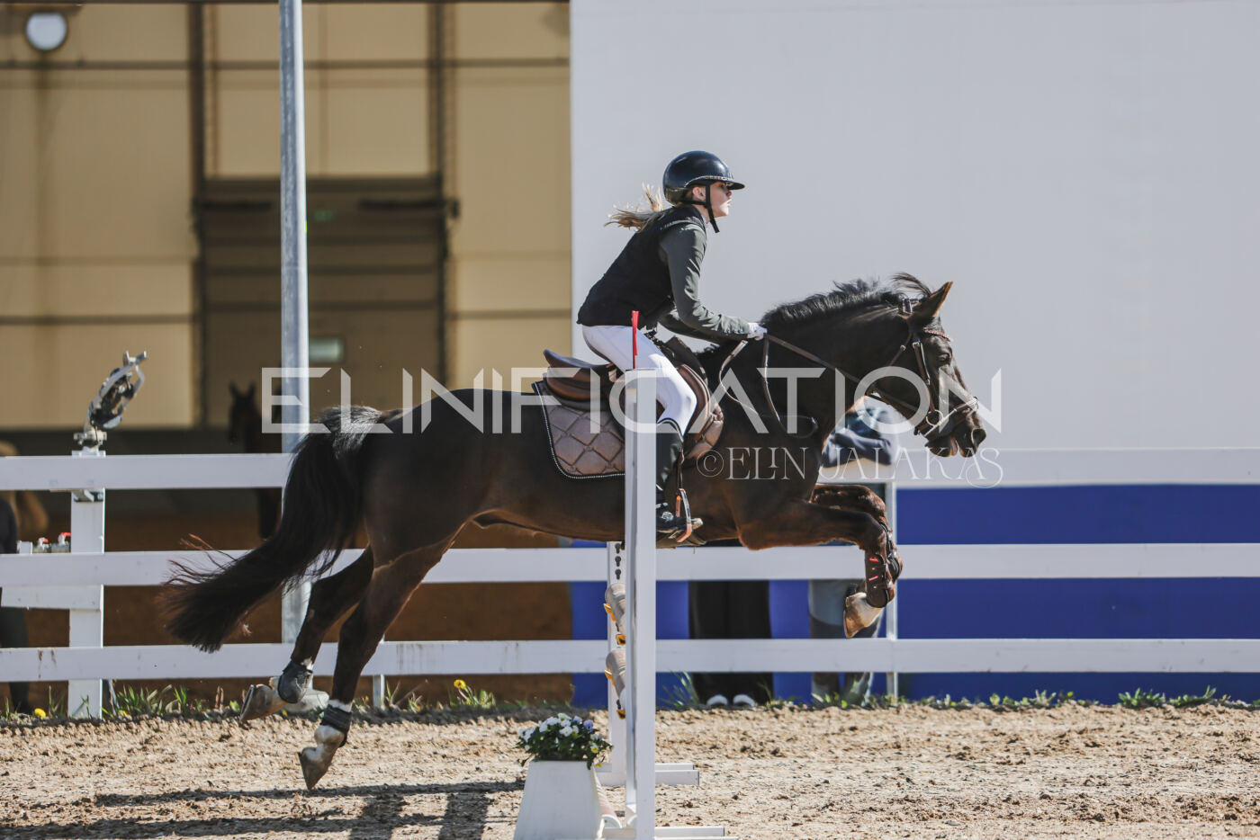 Gramina_Kevad_2026_80_063