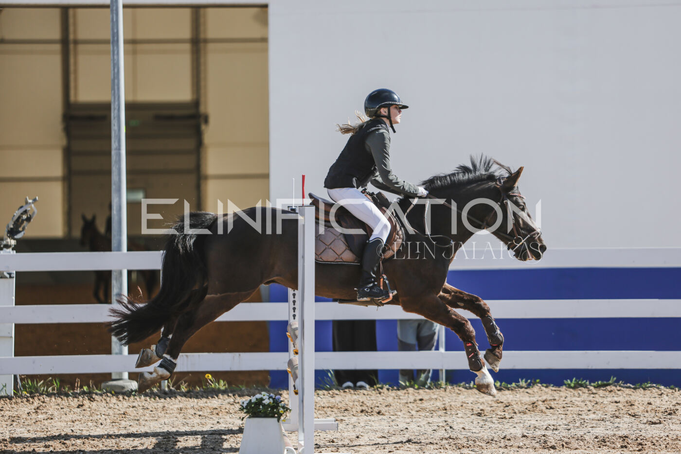 Gramina_Kevad_2026_80_064