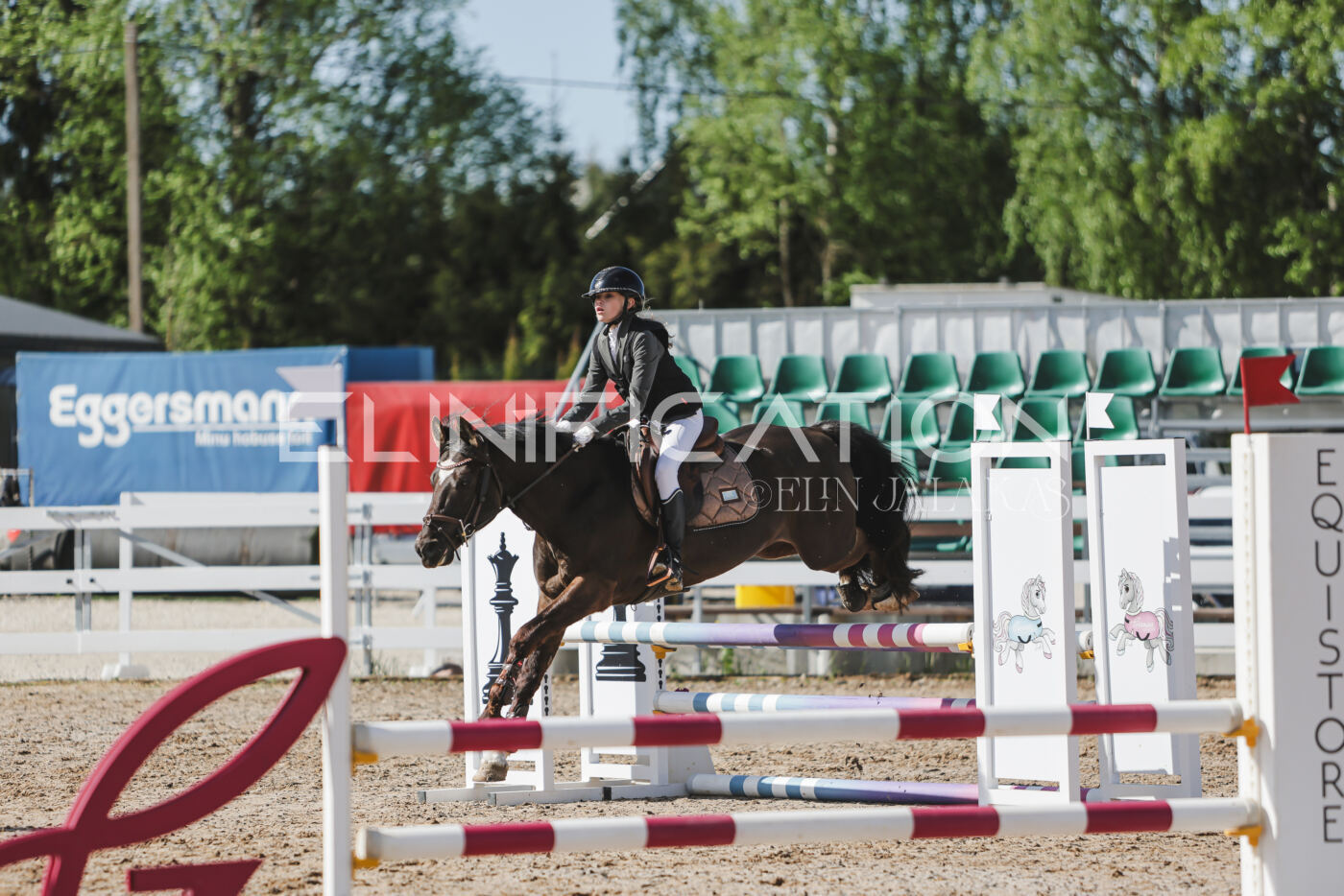 Gramina_Kevad_2026_80_066