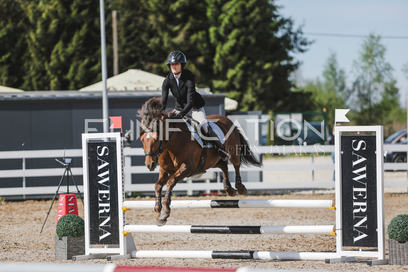 Gramina_Kevad_2026_80_069
