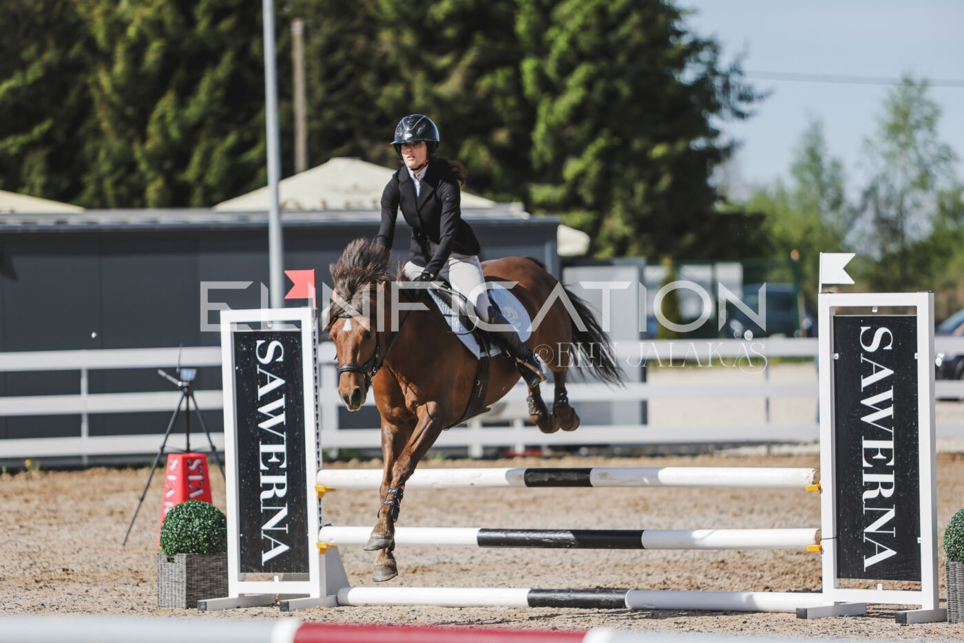 Gramina_Kevad_2026_80_070
