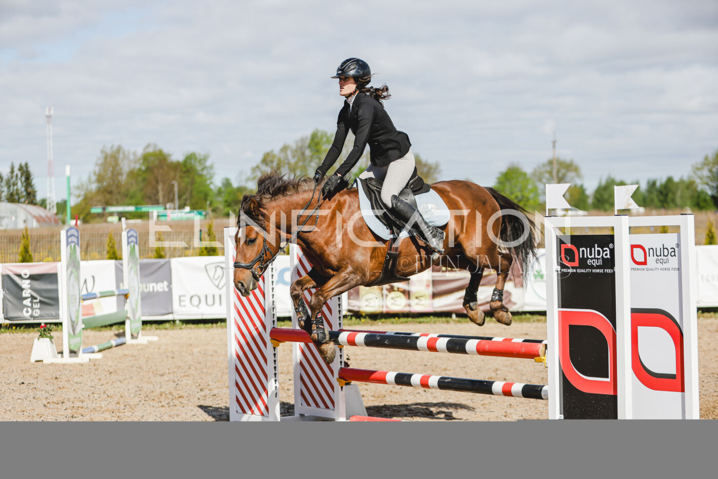 Gramina_Kevad_2026_80_074