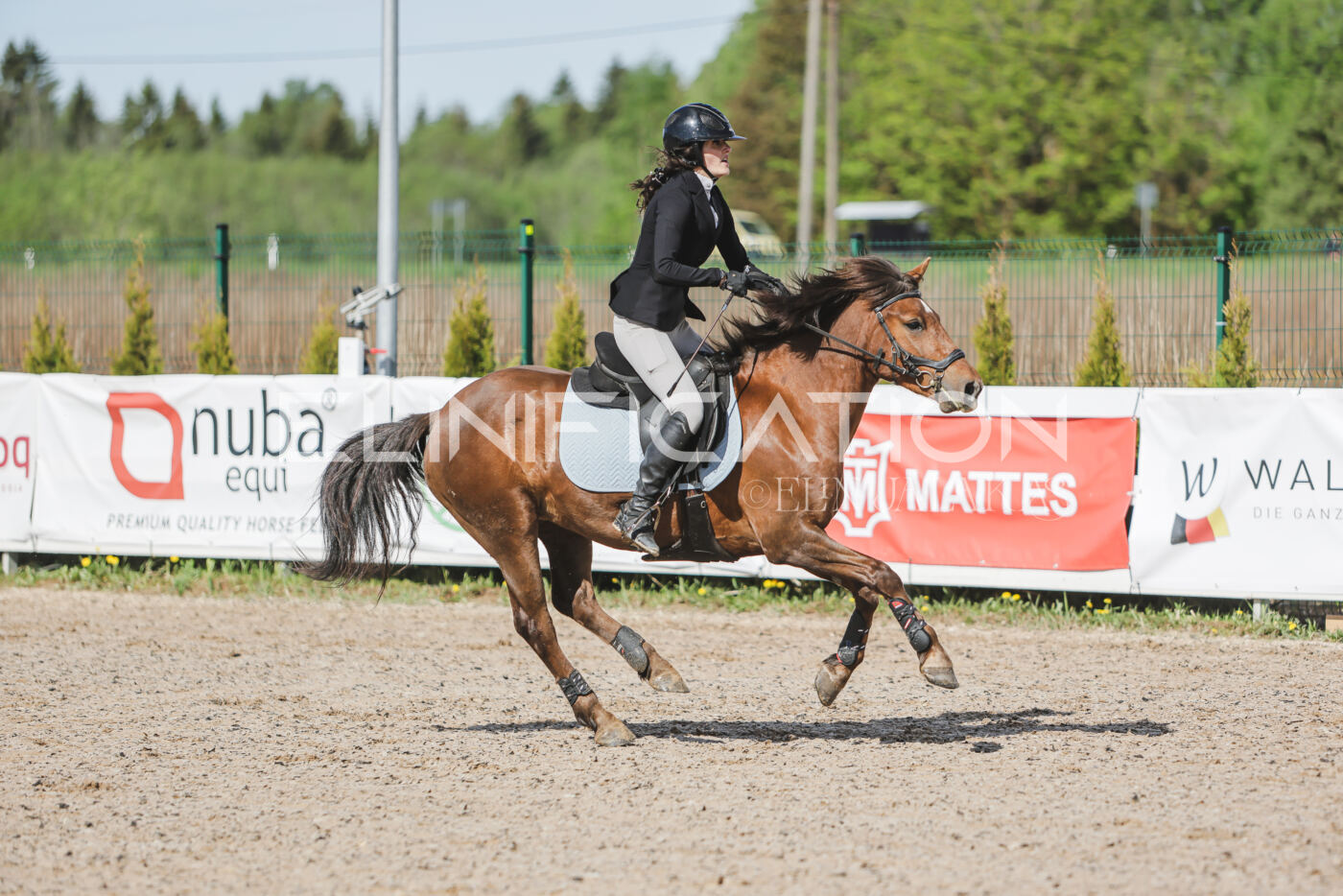 Gramina_Kevad_2026_80_079