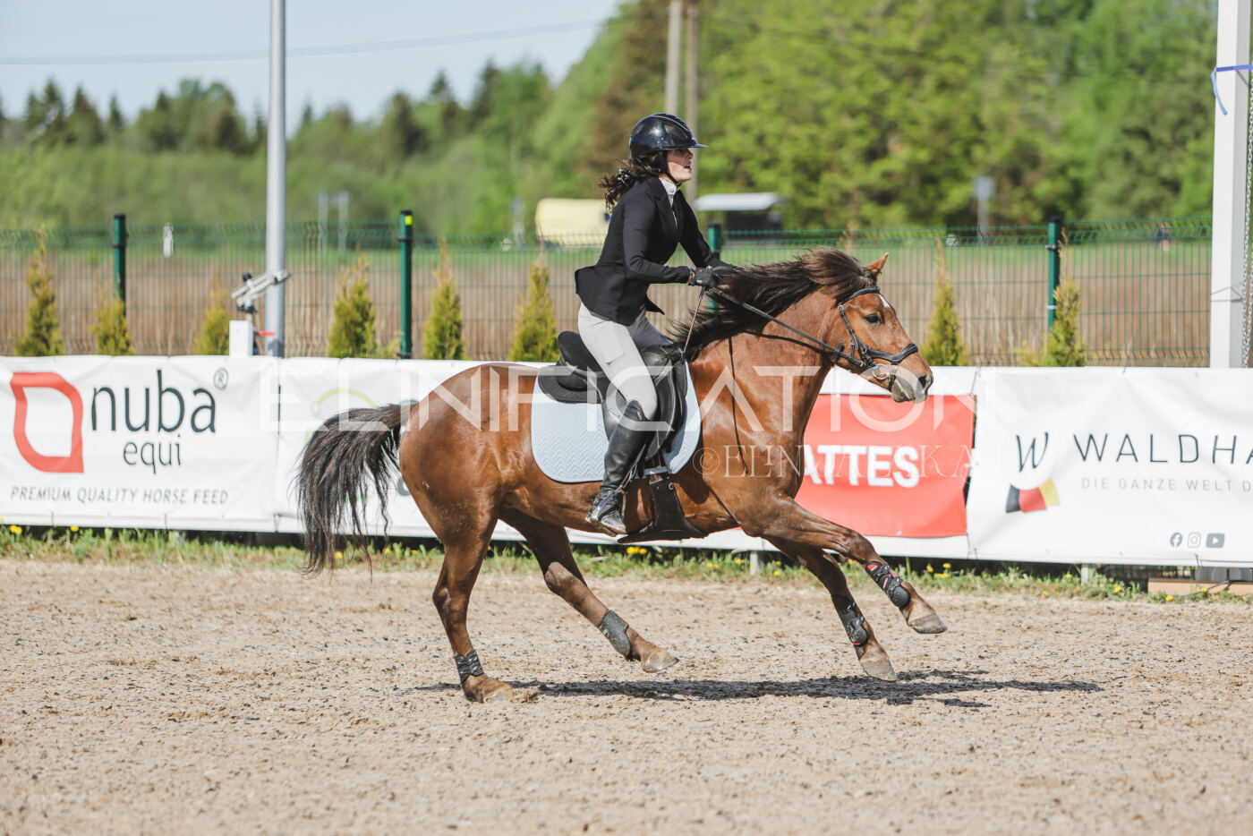 Gramina_Kevad_2026_80_080