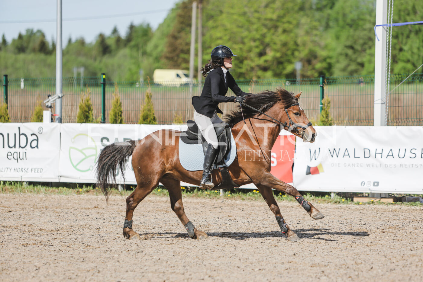 Gramina_Kevad_2026_80_081