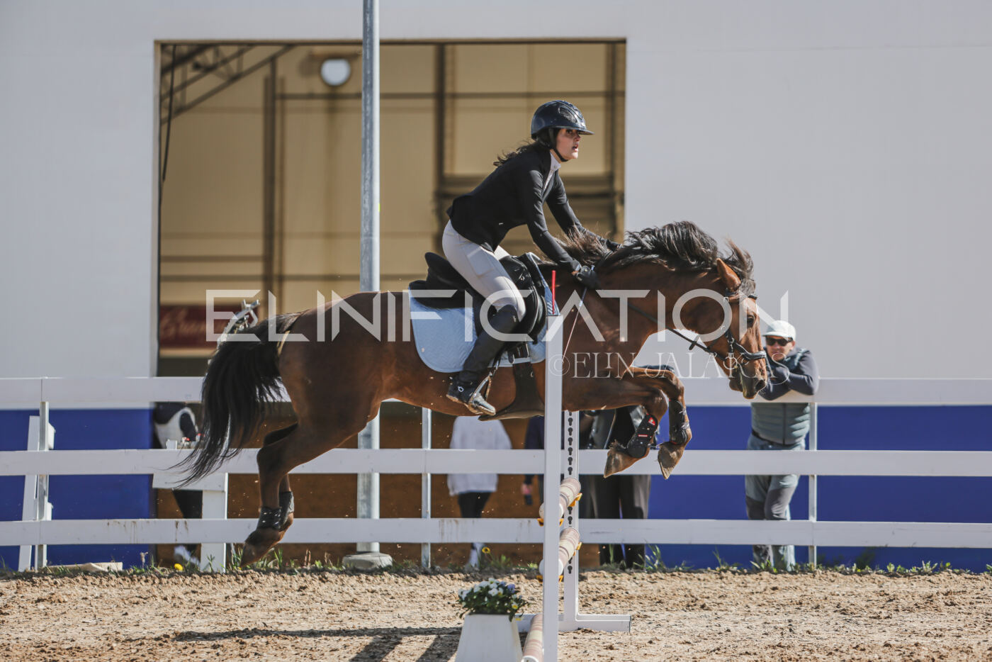 Gramina_Kevad_2026_80_086