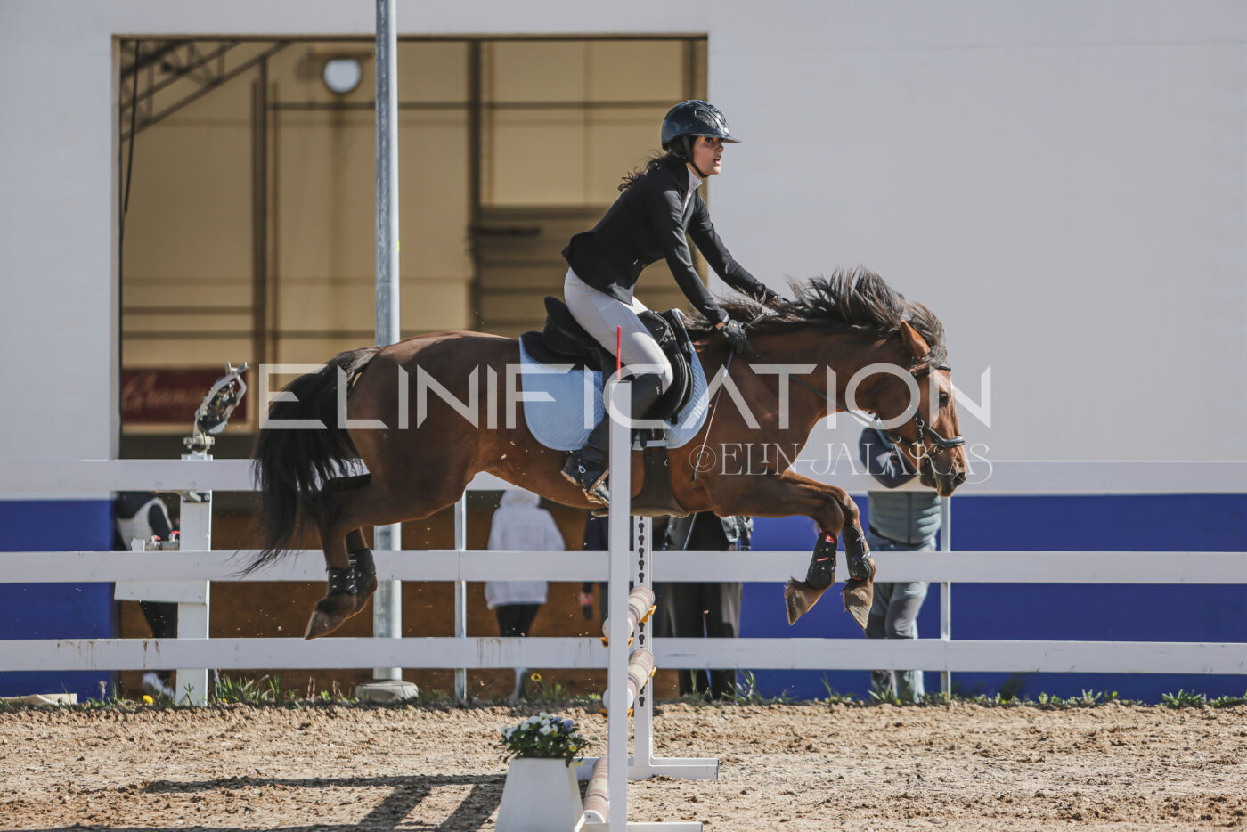 Gramina_Kevad_2026_80_087