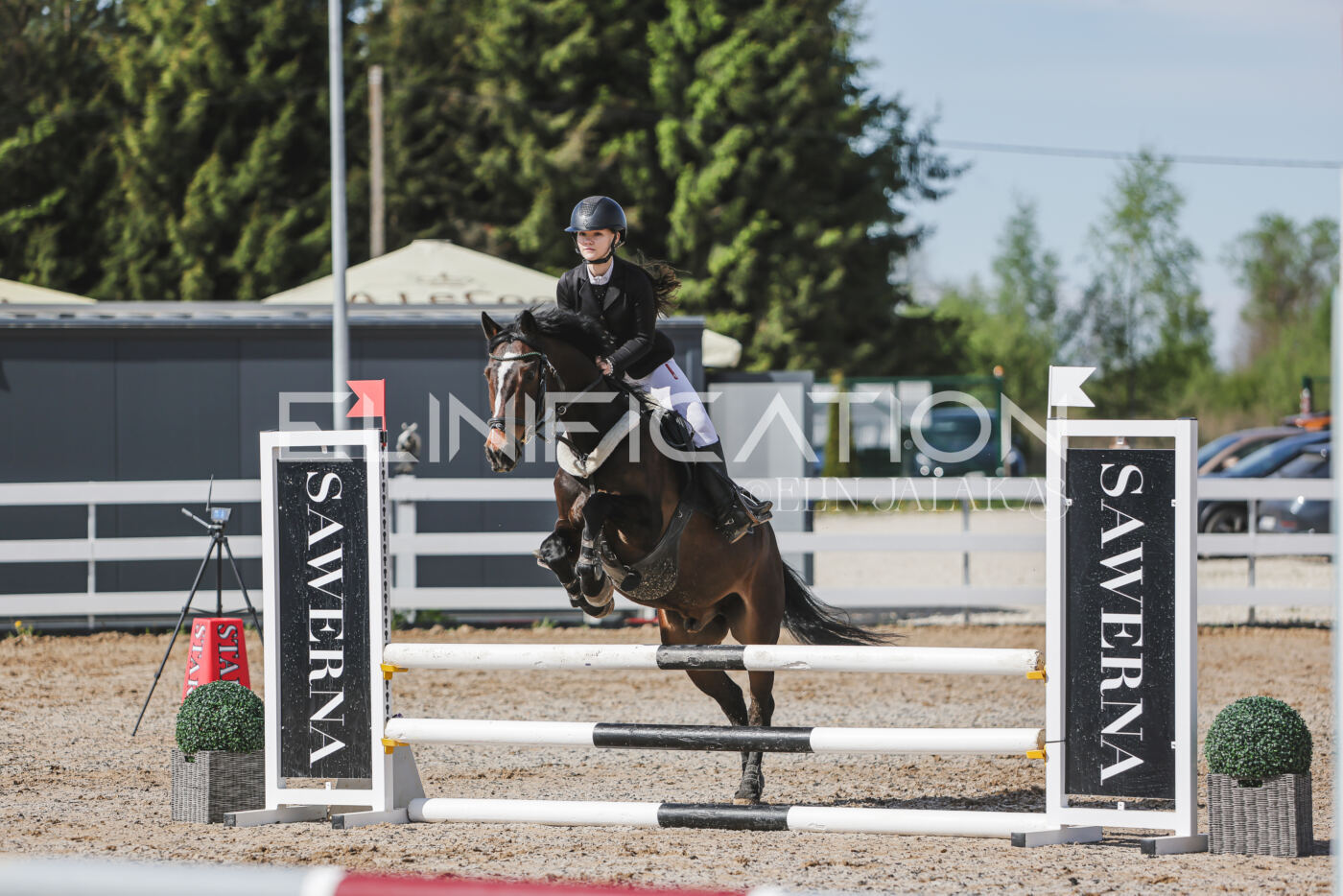 Gramina_Kevad_2026_80_089