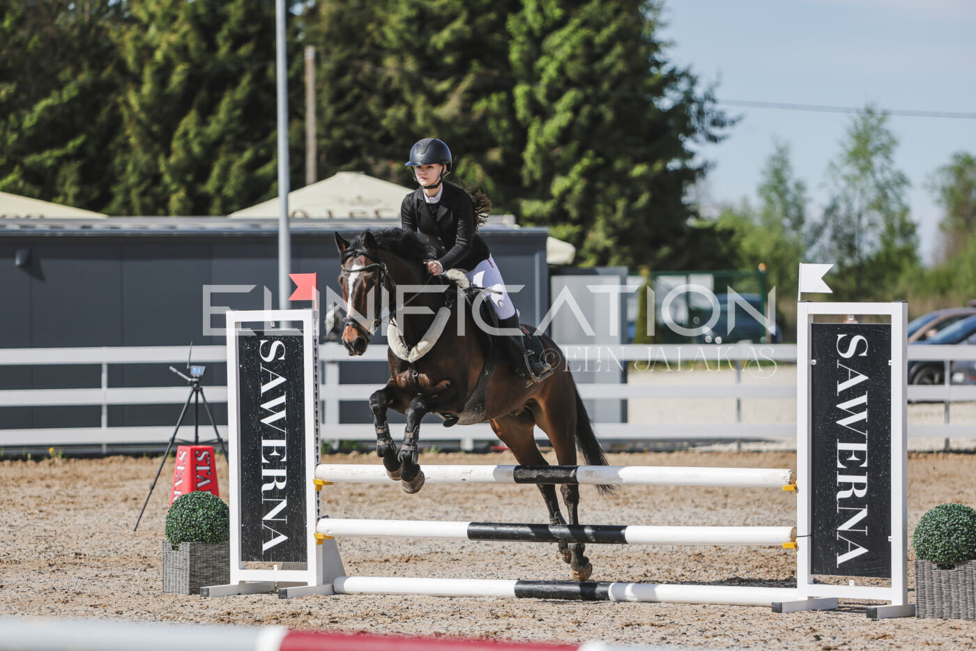 Gramina_Kevad_2026_80_091