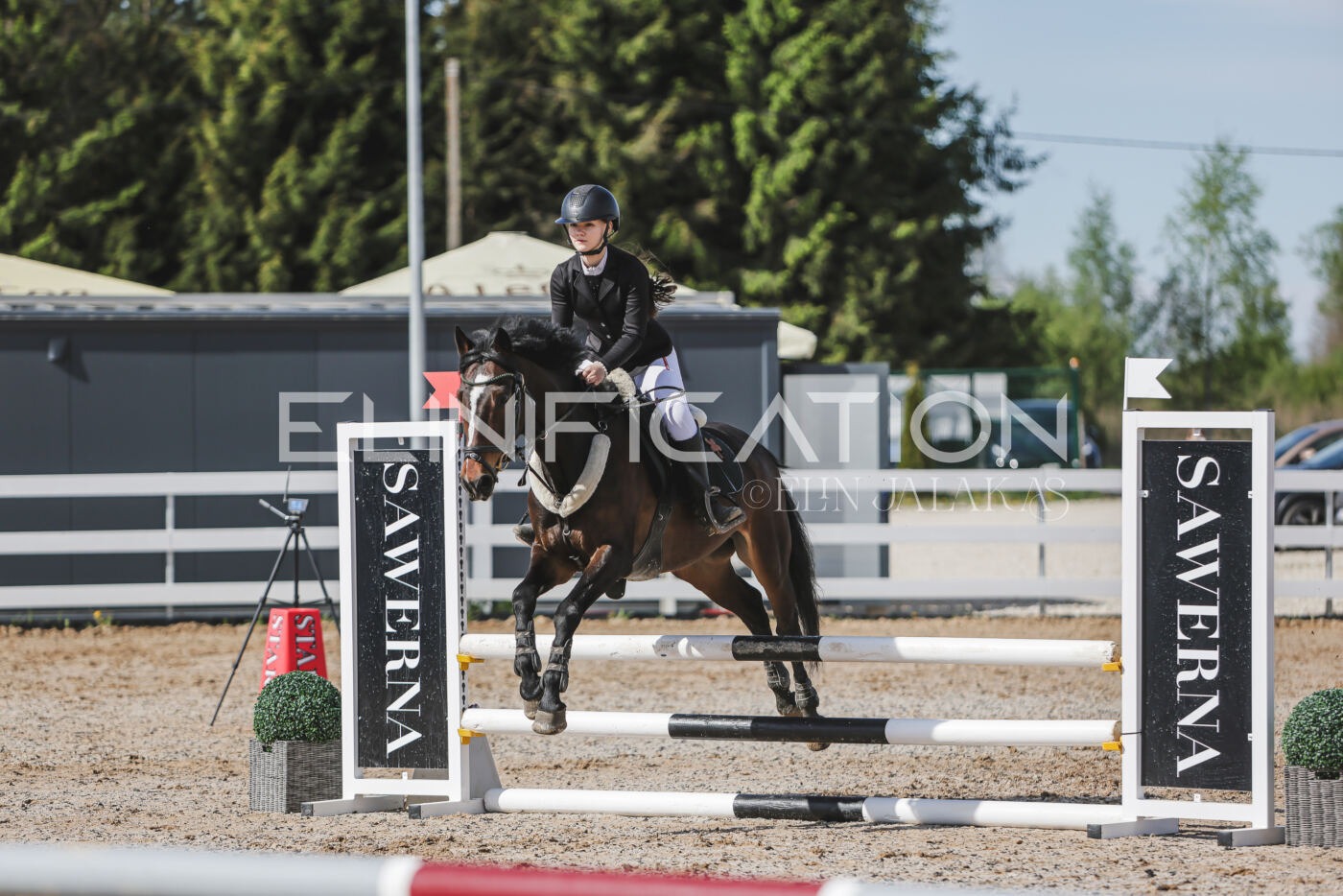 Gramina_Kevad_2026_80_092