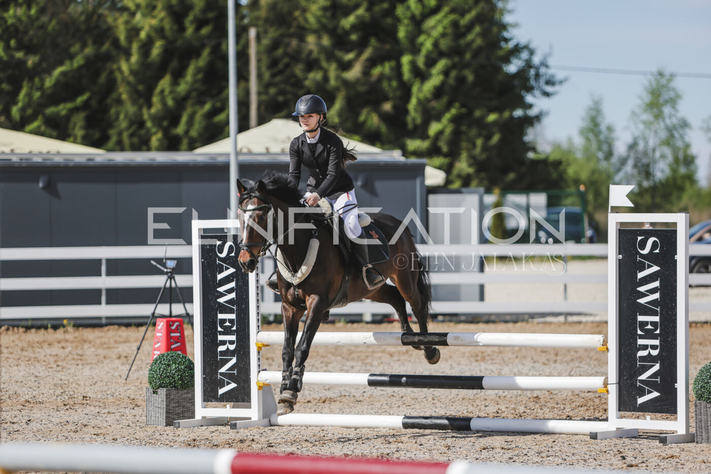 Gramina_Kevad_2026_80_093