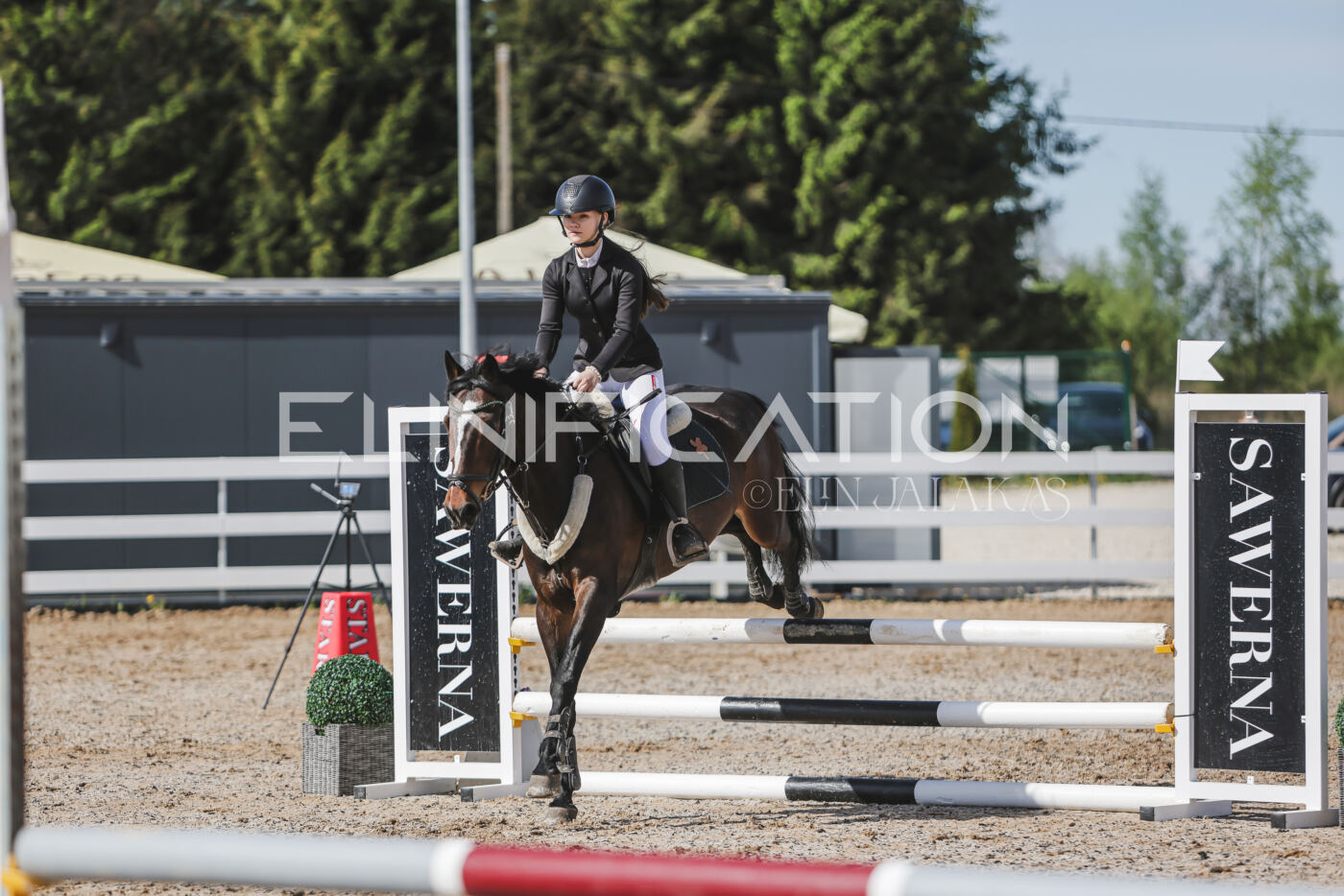 Gramina_Kevad_2026_80_094