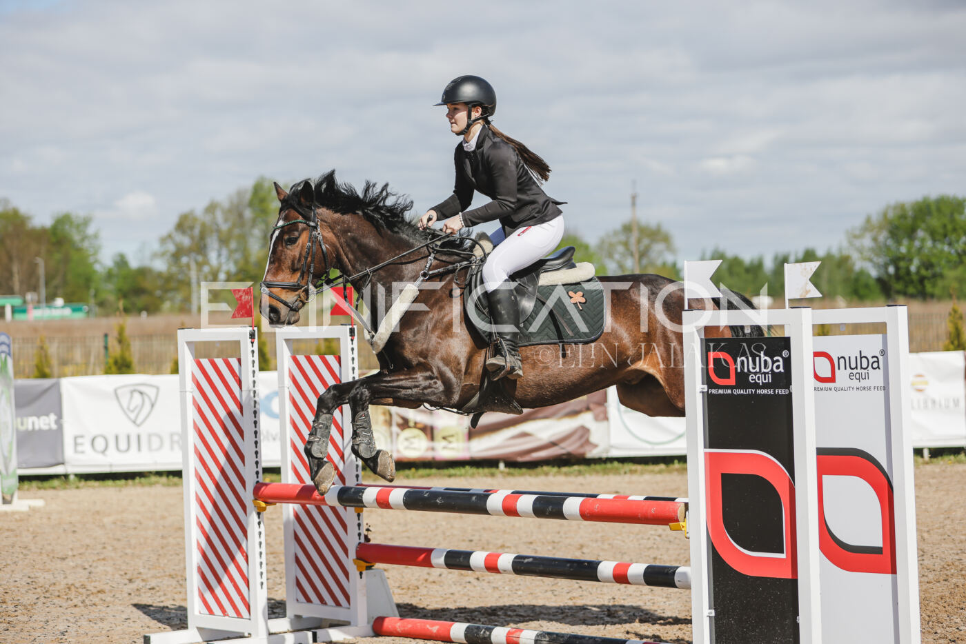 Gramina_Kevad_2026_80_098