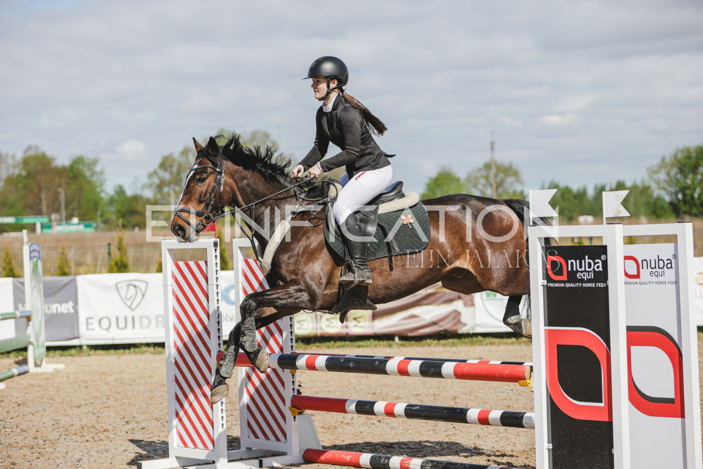Gramina_Kevad_2026_80_099