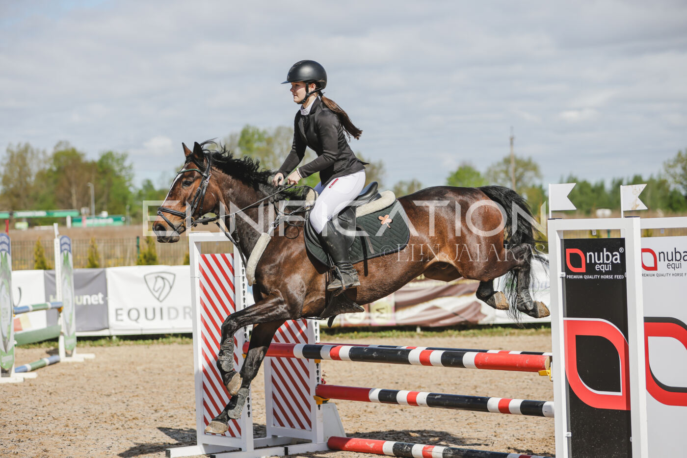 Gramina_Kevad_2026_80_100