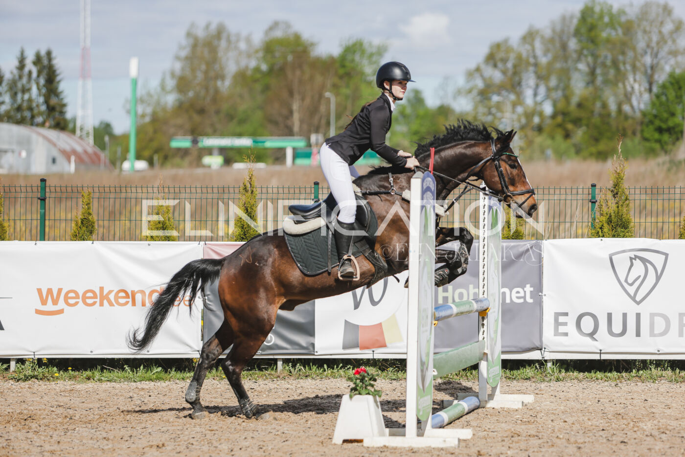 Gramina_Kevad_2026_80_104