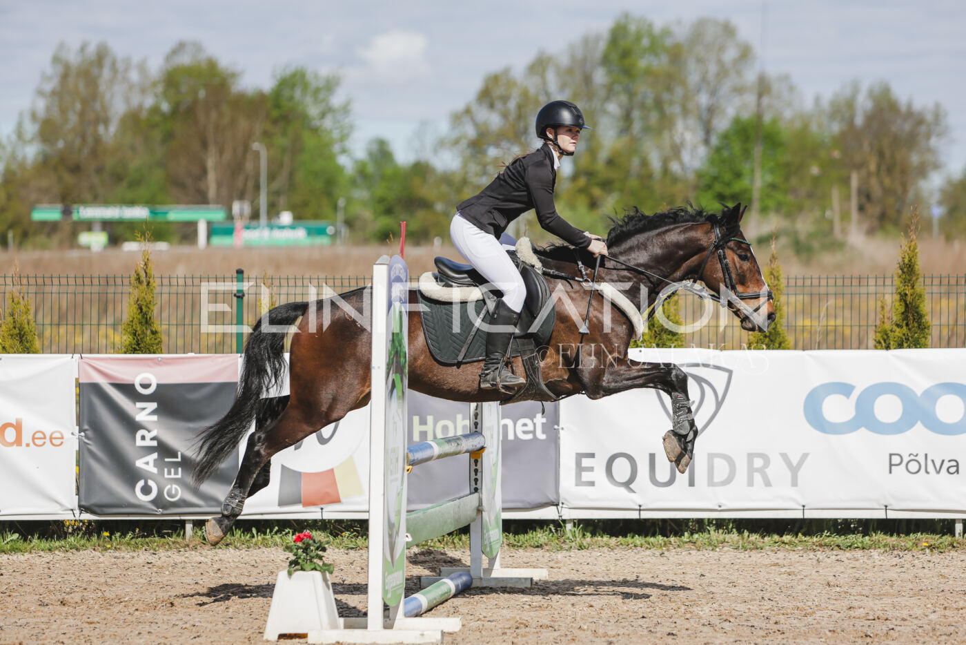 Gramina_Kevad_2026_80_107