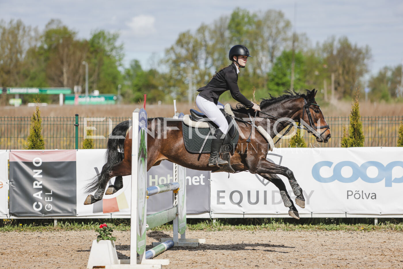 Gramina_Kevad_2026_80_108