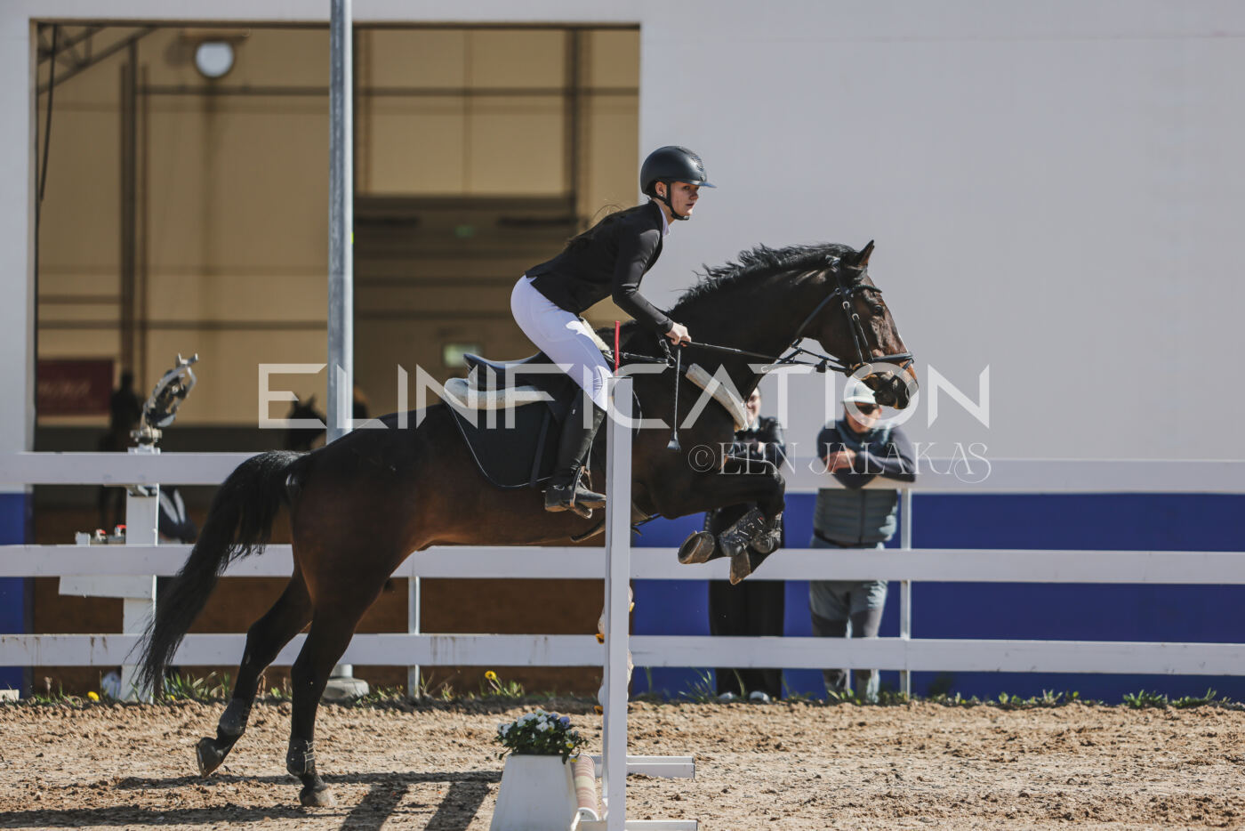 Gramina_Kevad_2026_80_109