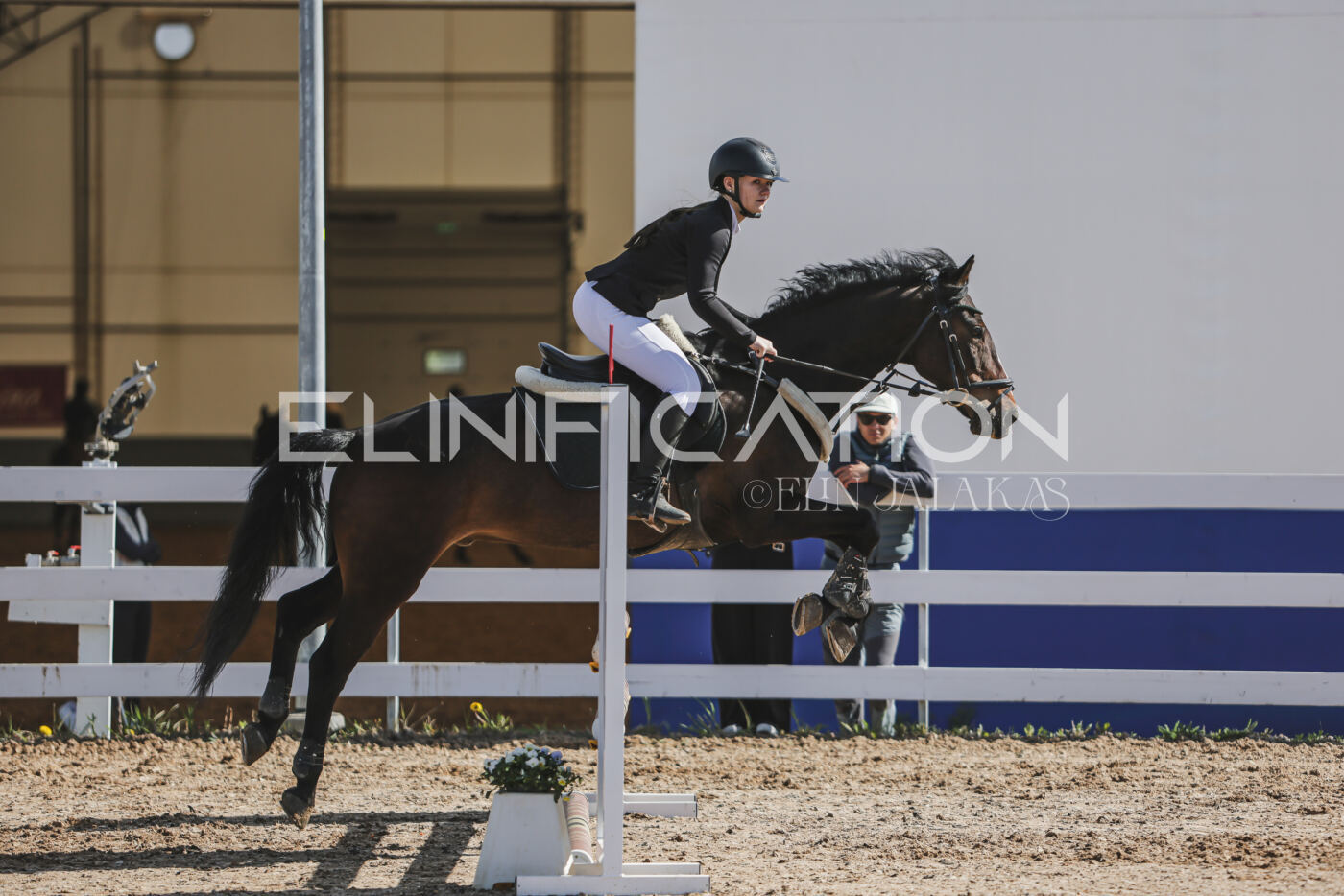 Gramina_Kevad_2026_80_110