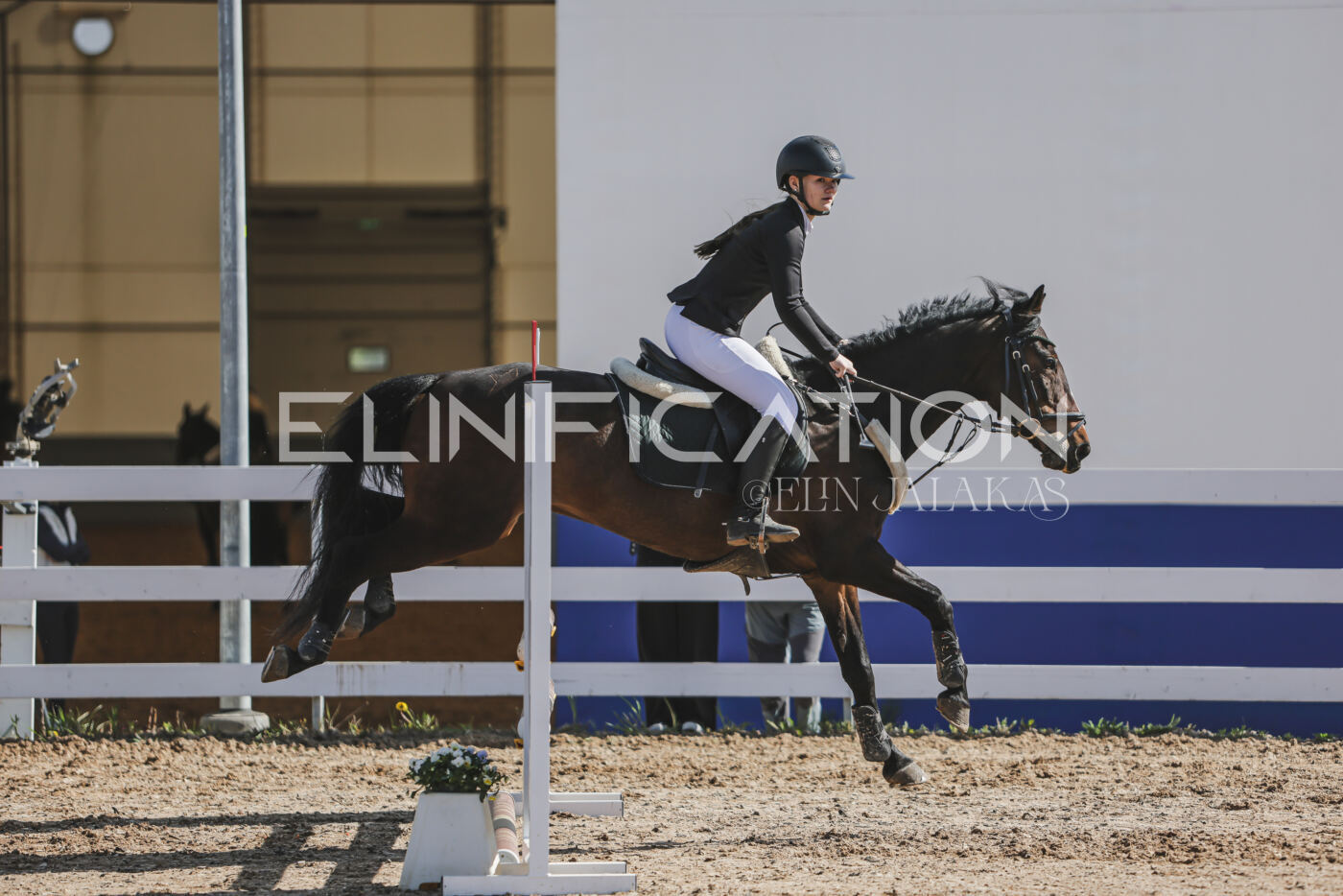 Gramina_Kevad_2026_80_112