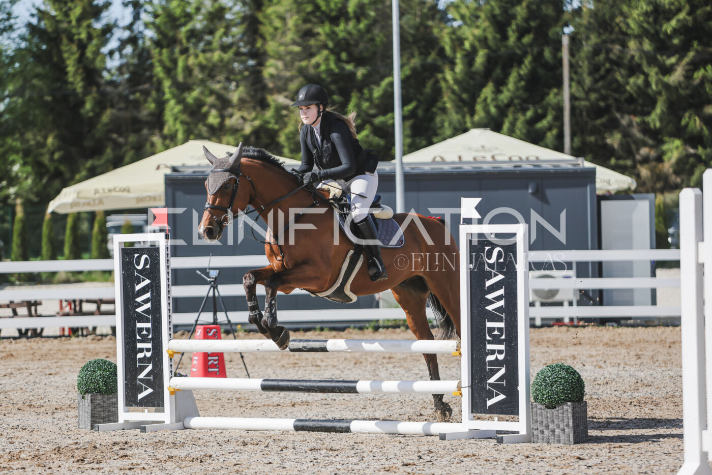 Gramina_Kevad_2026_80_113