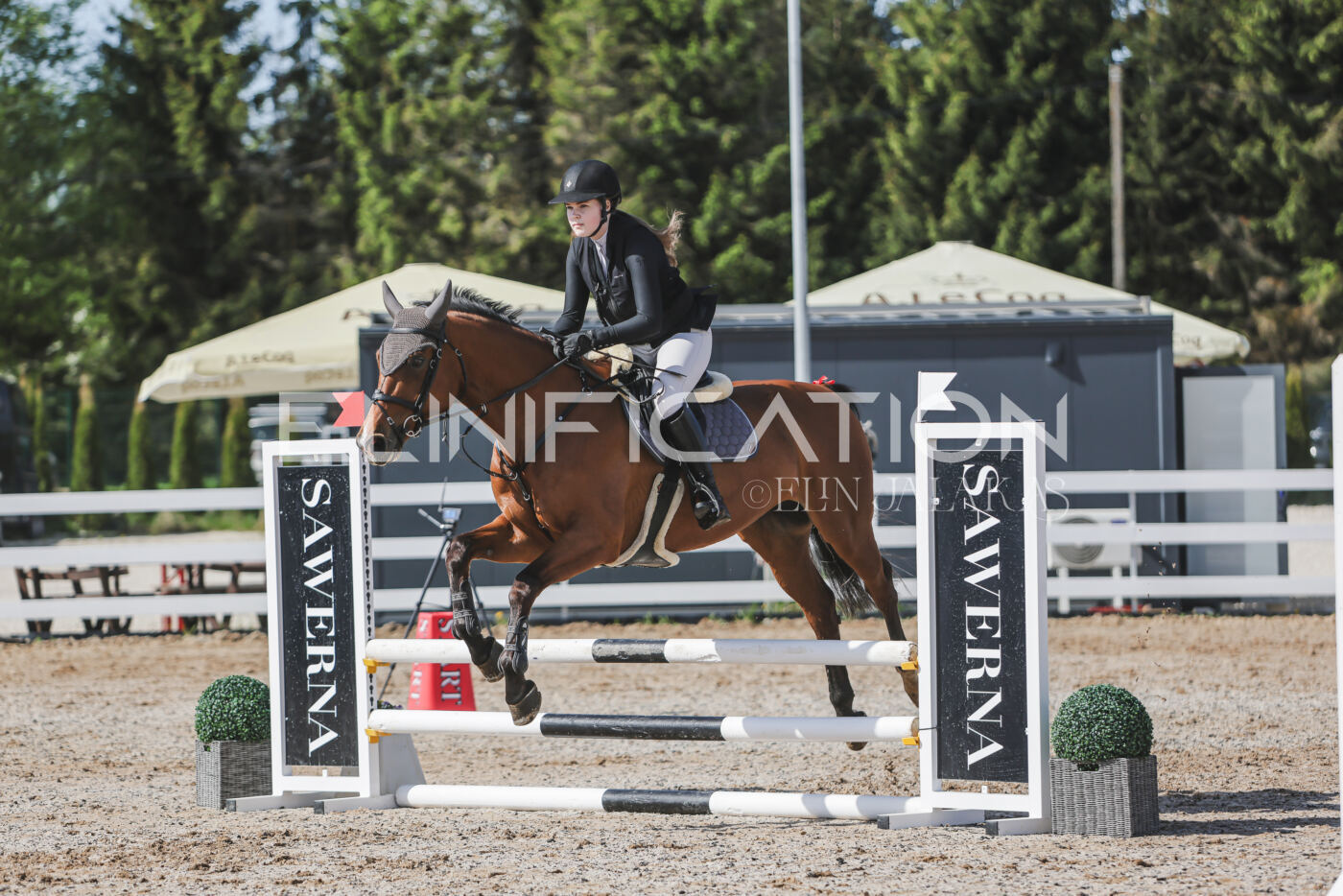 Gramina_Kevad_2026_80_114