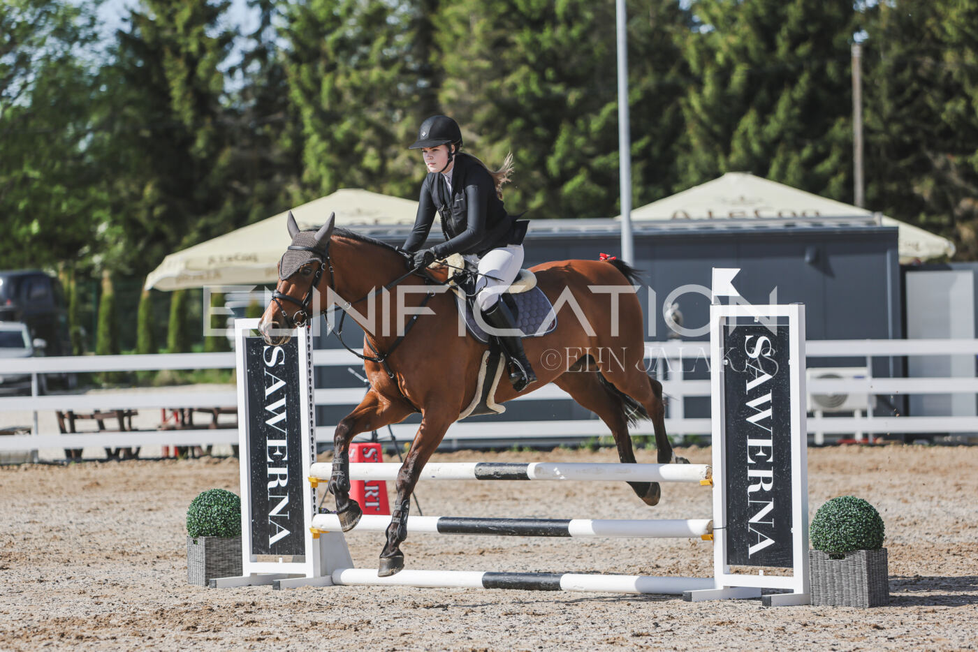 Gramina_Kevad_2026_80_115