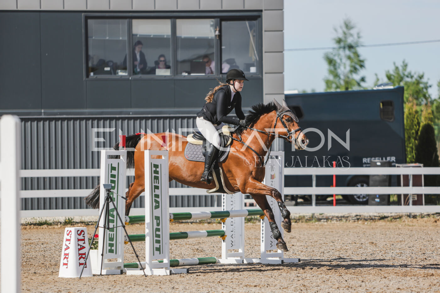 Gramina_Kevad_2026_80_120