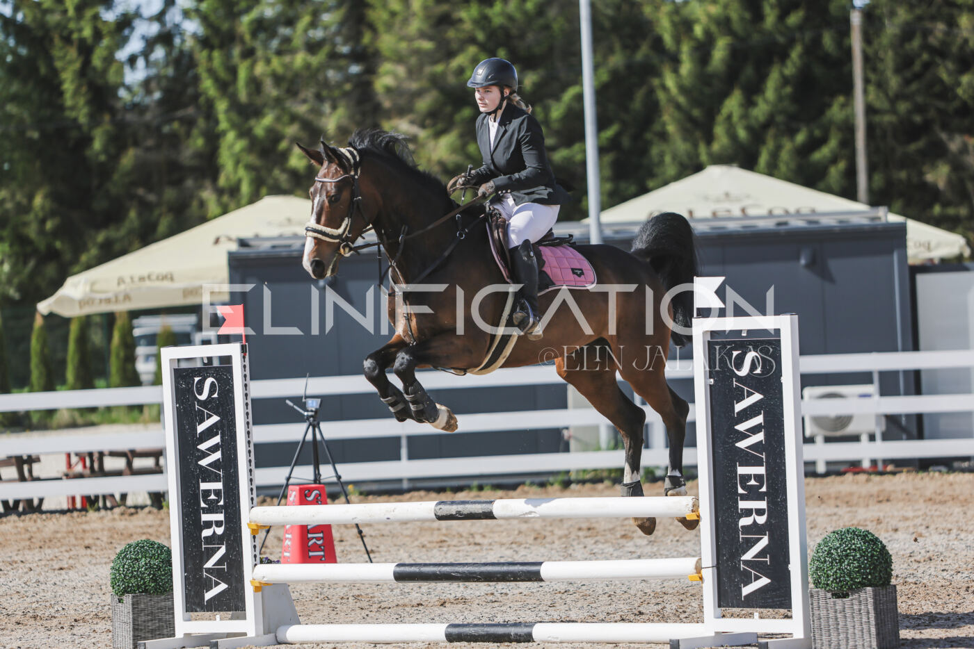 Gramina_Kevad_2026_80_124