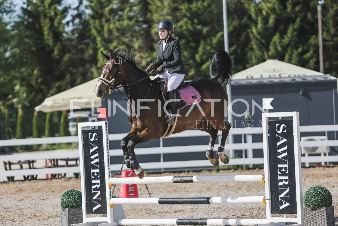 Gramina_Kevad_2026_80_126