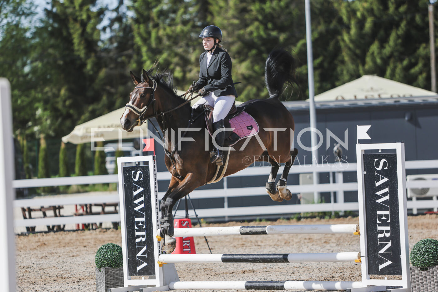 Gramina_Kevad_2026_80_127