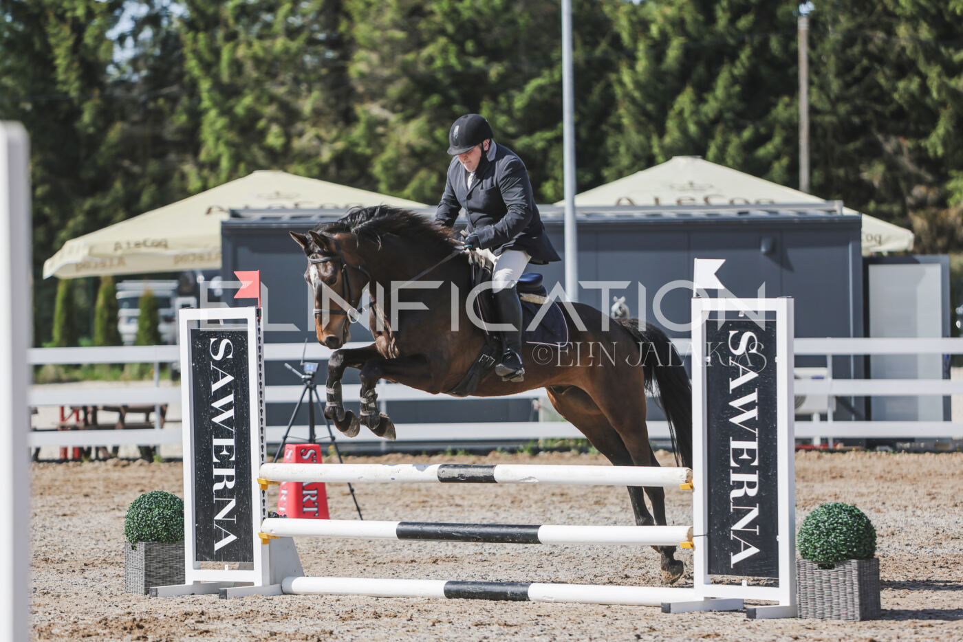 Gramina_Kevad_2026_80_128