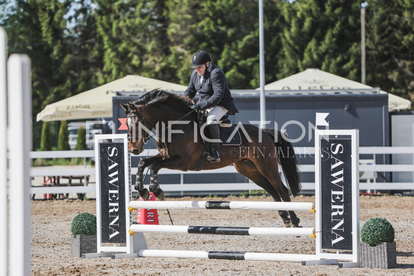 Gramina_Kevad_2026_80_129