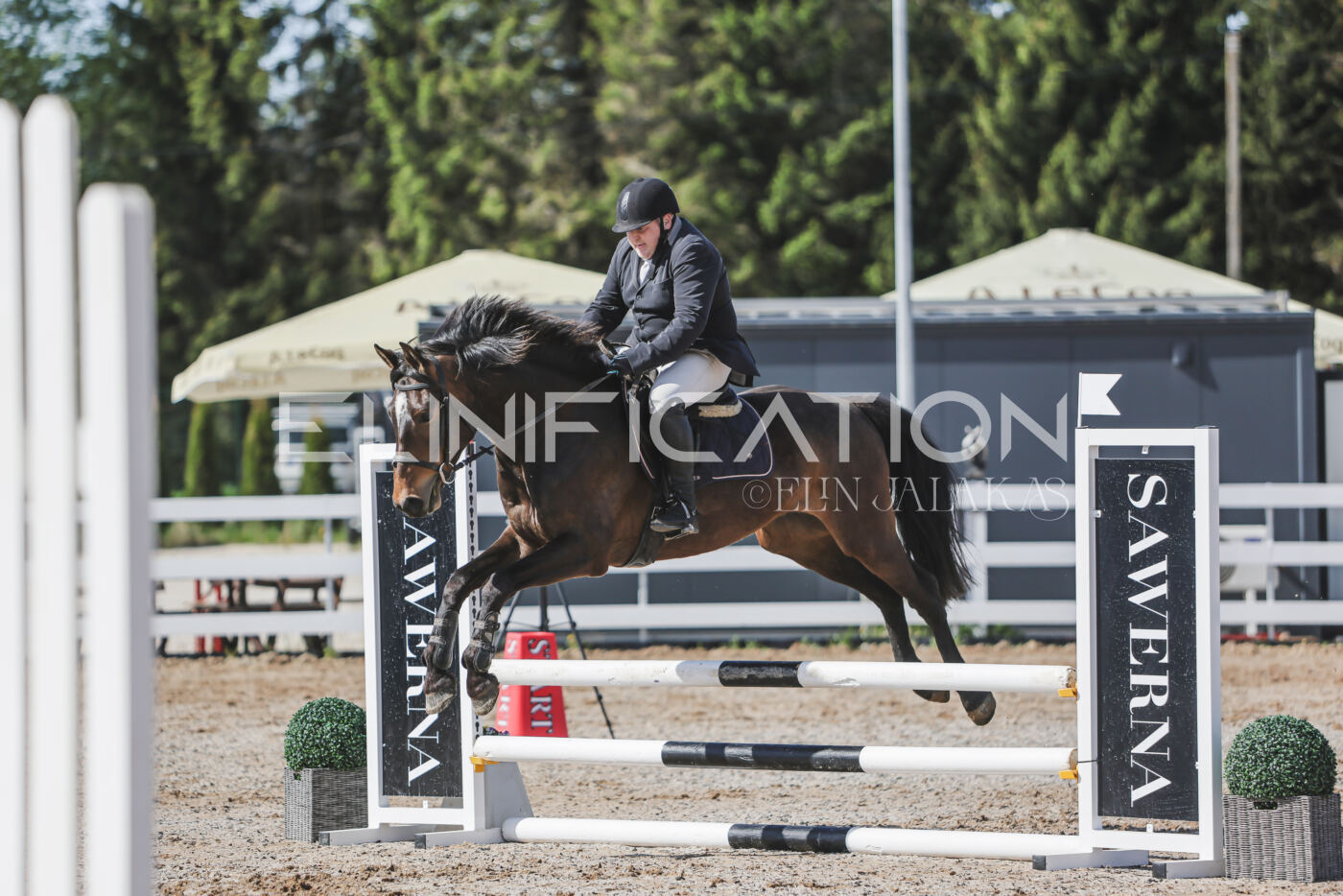 Gramina_Kevad_2026_80_130