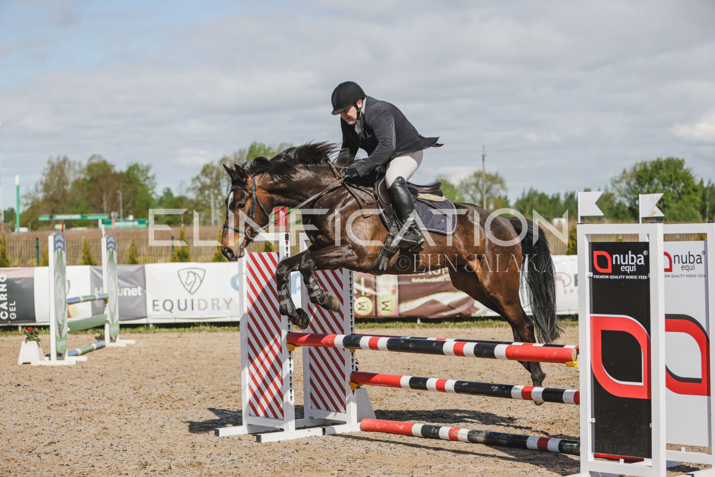 Gramina_Kevad_2026_80_134