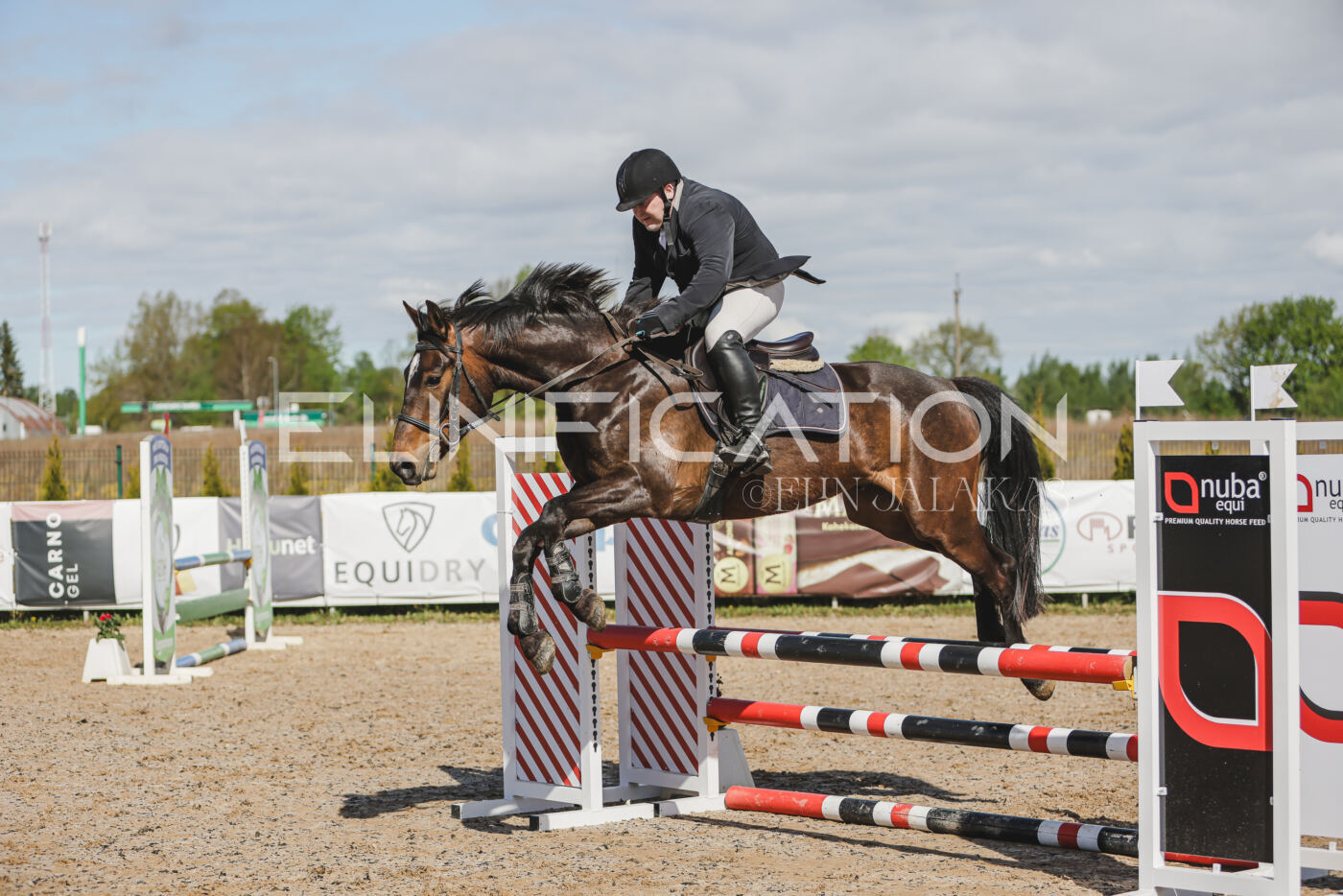 Gramina_Kevad_2026_80_135