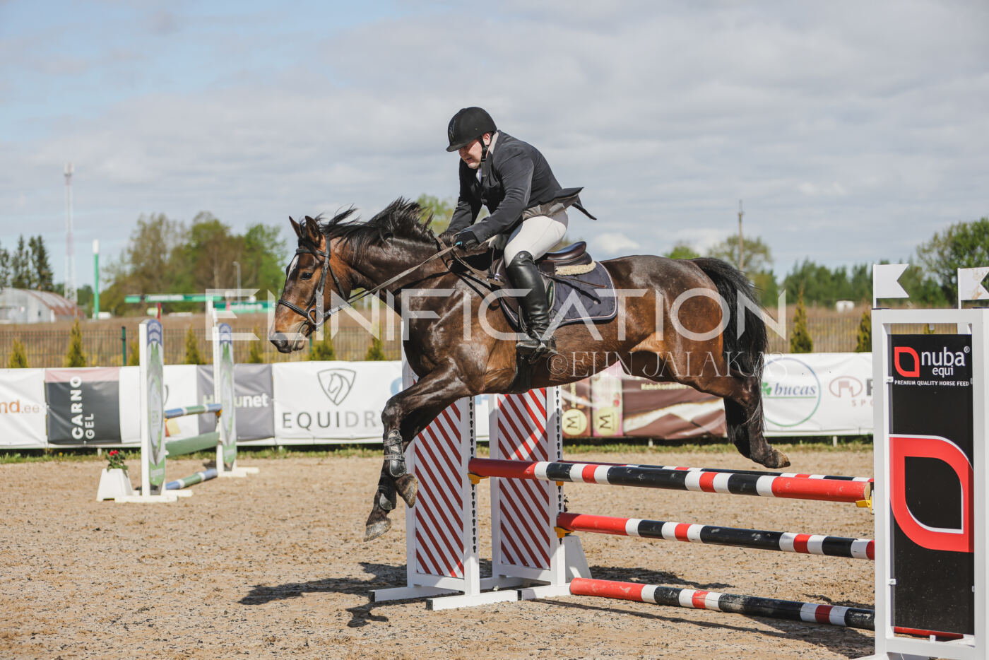 Gramina_Kevad_2026_80_136
