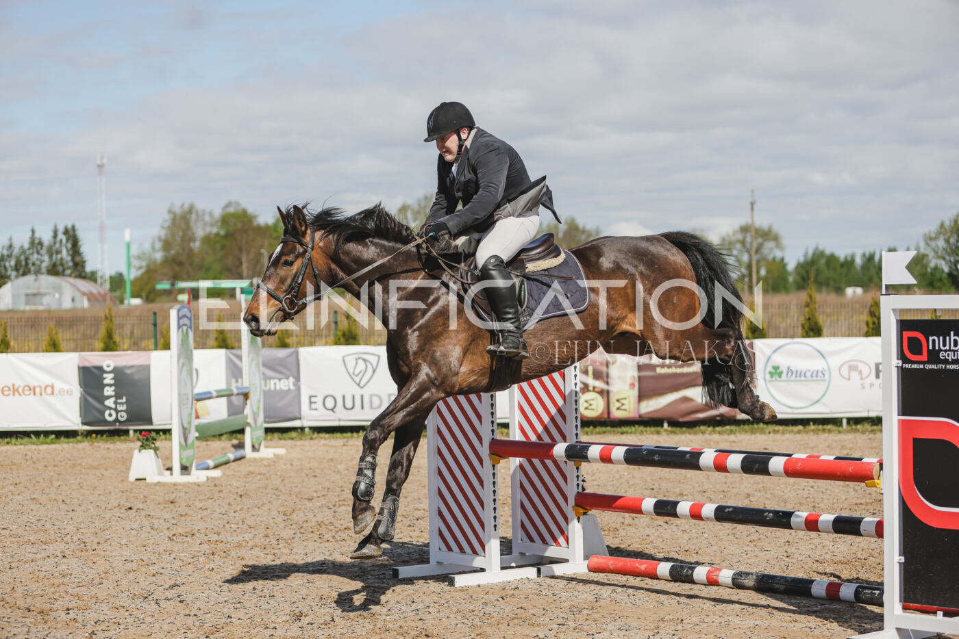 Gramina_Kevad_2026_80_137