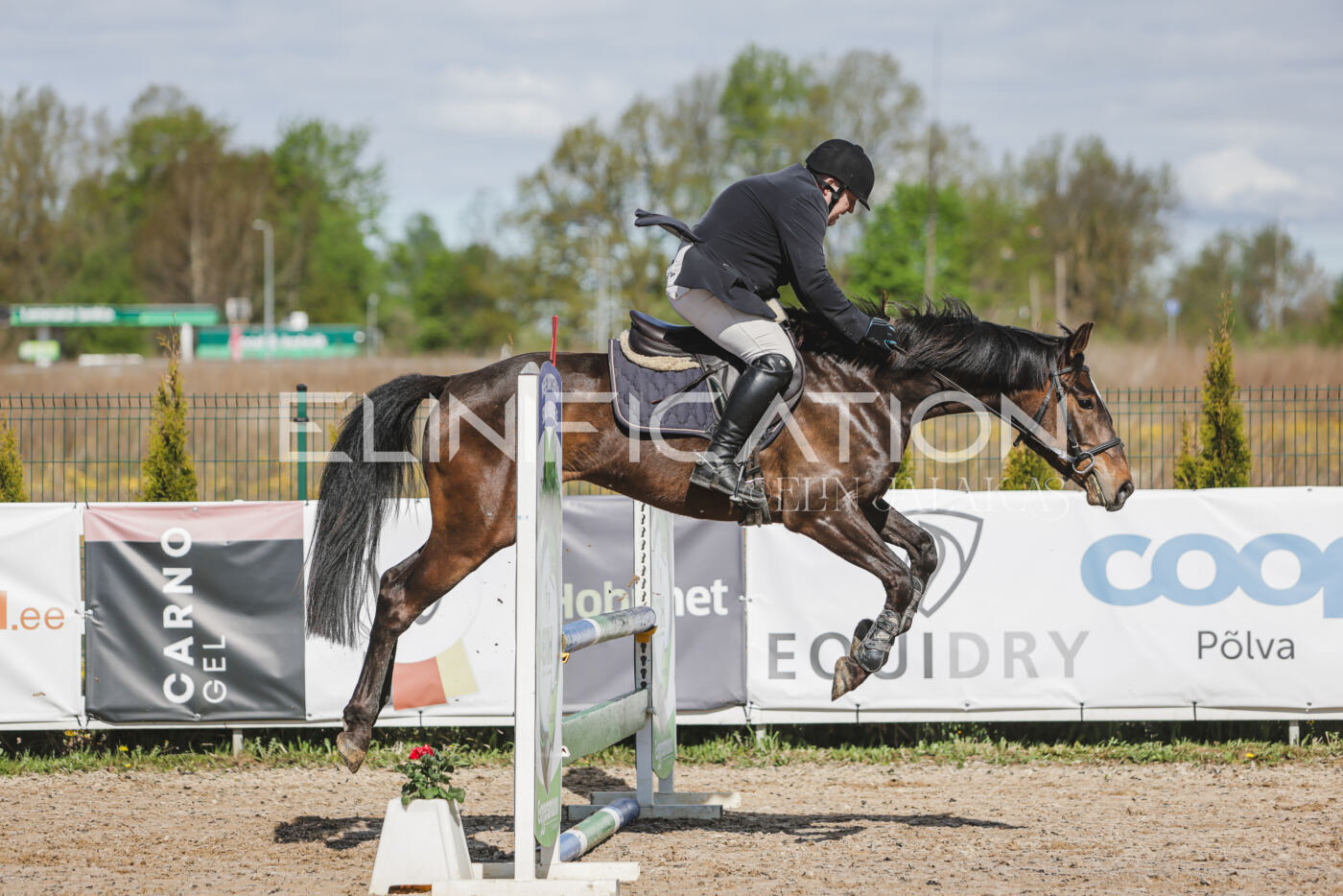 Gramina_Kevad_2026_80_142