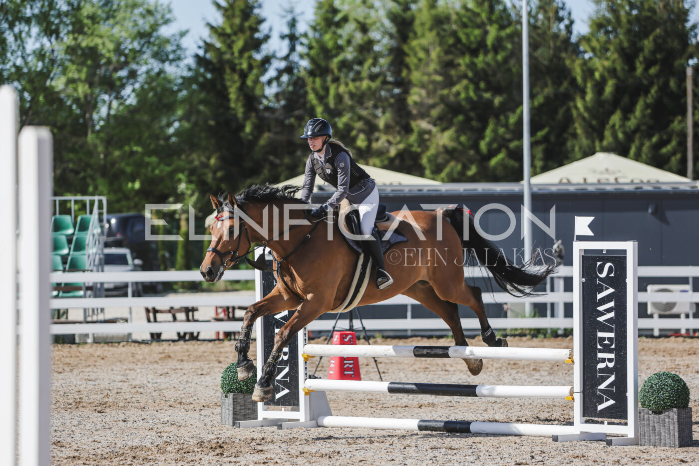 Gramina_Kevad_2026_80_146