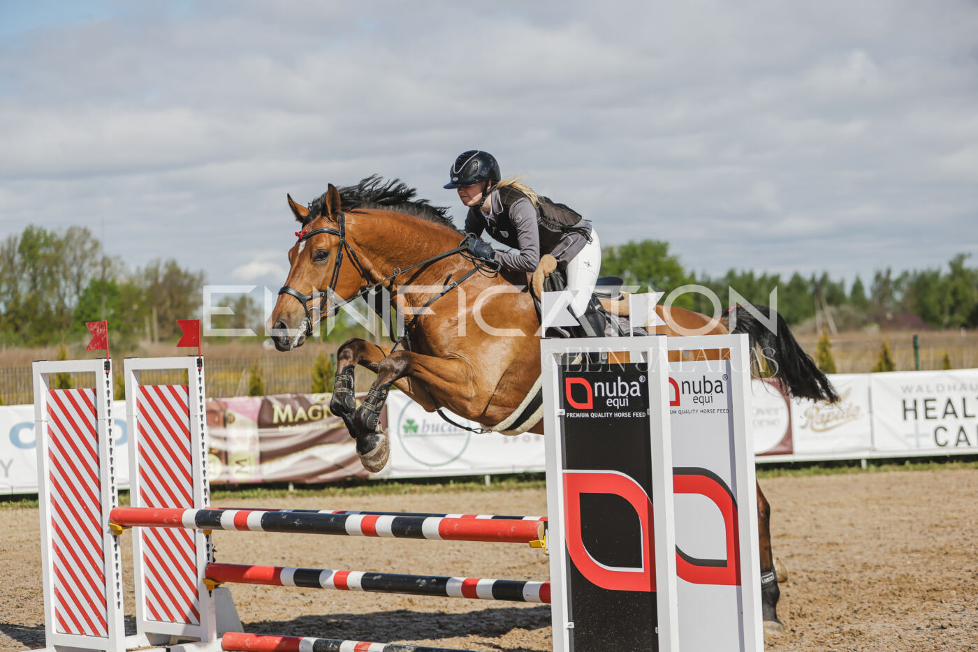 Gramina_Kevad_2026_80_148
