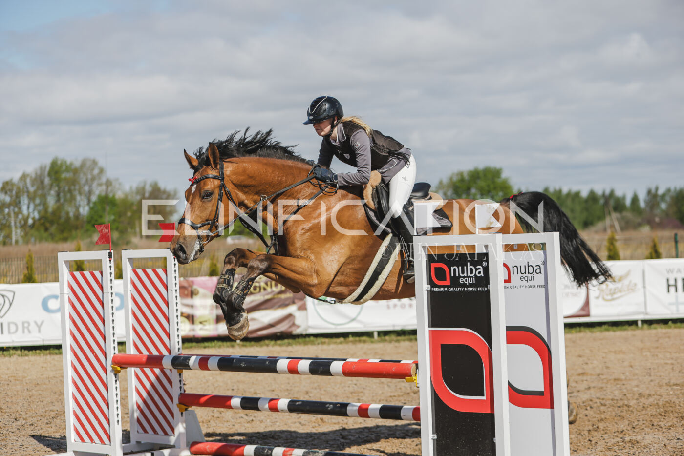 Gramina_Kevad_2026_80_149