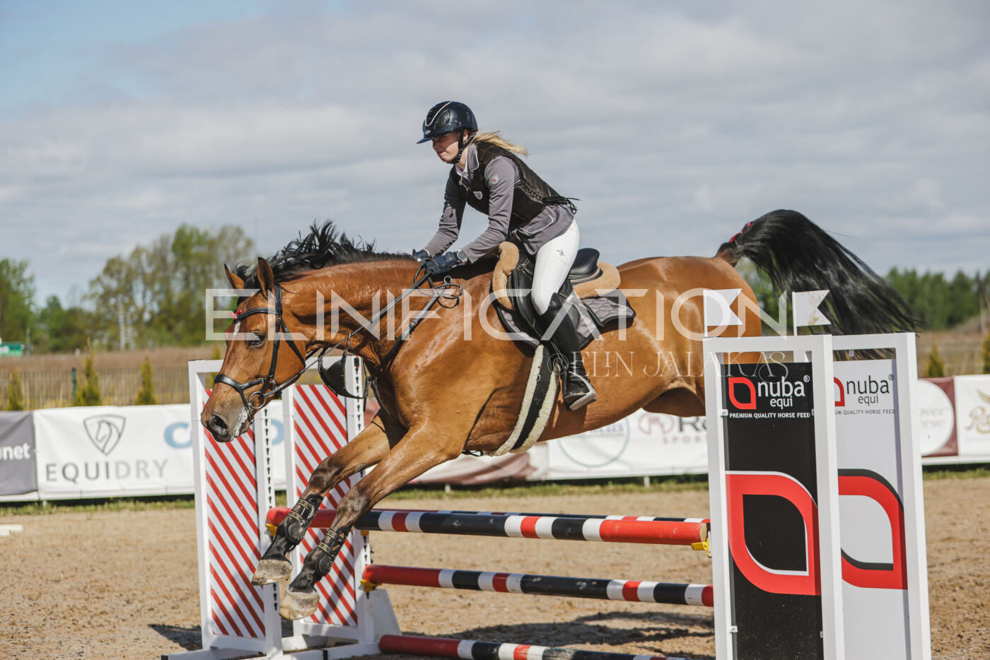 Gramina_Kevad_2026_80_151