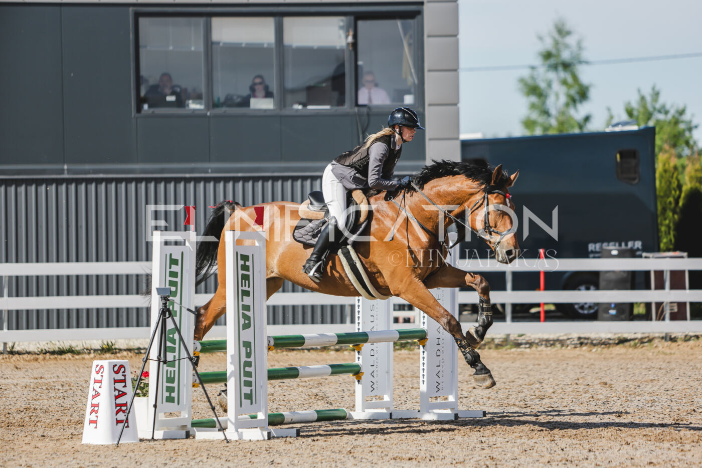 Gramina_Kevad_2026_80_154
