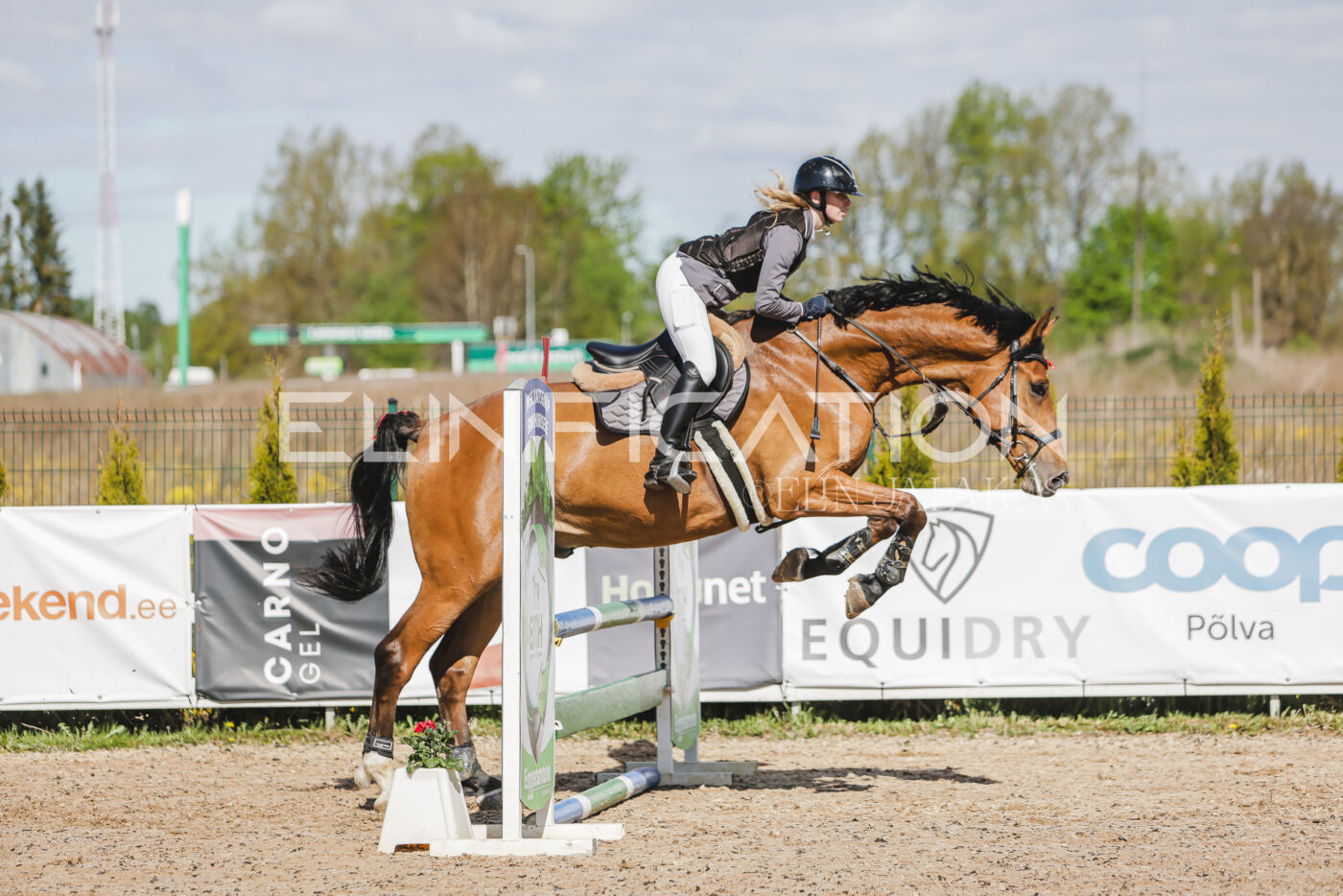 Gramina_Kevad_2026_80_155