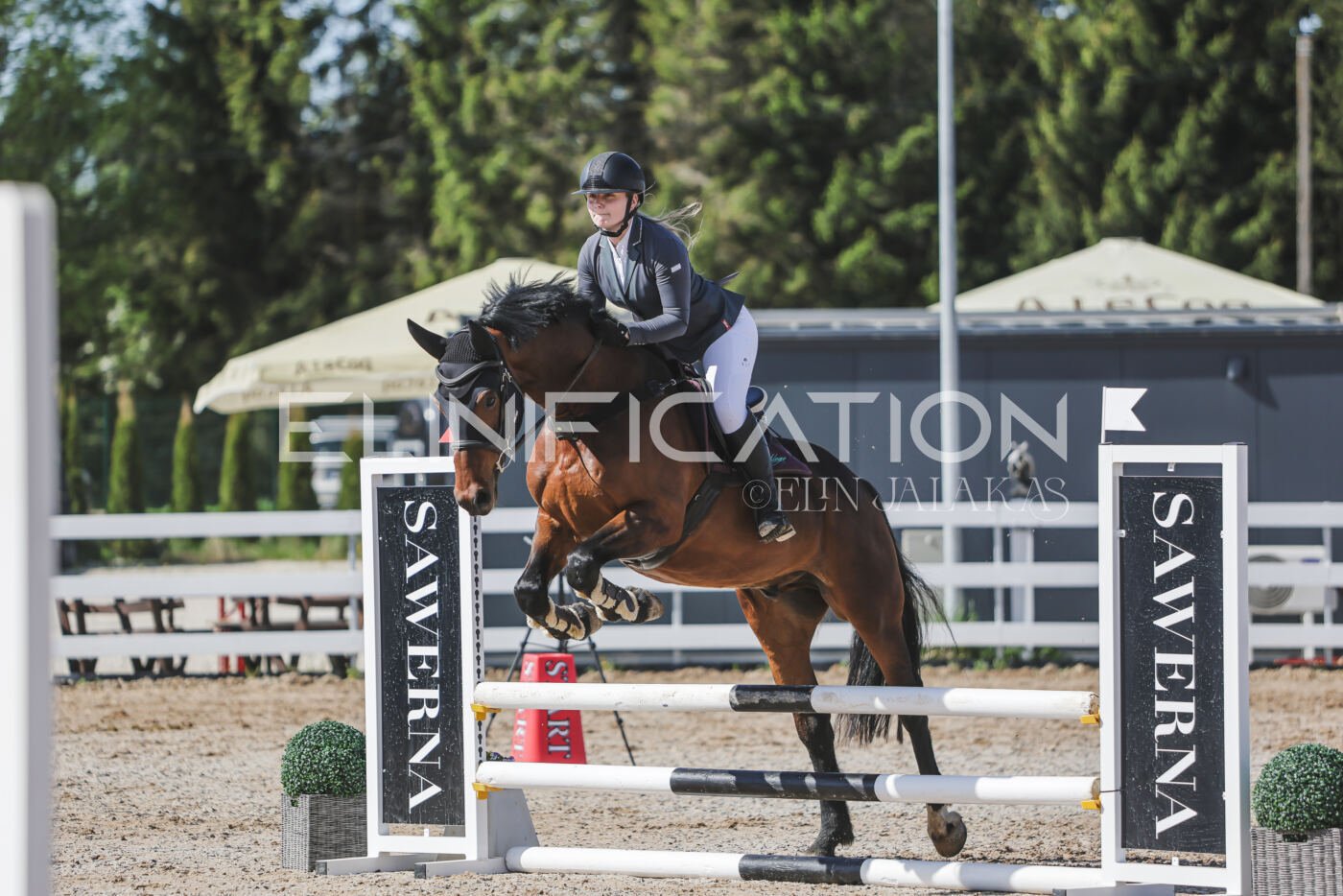 Gramina_Kevad_2026_80_157