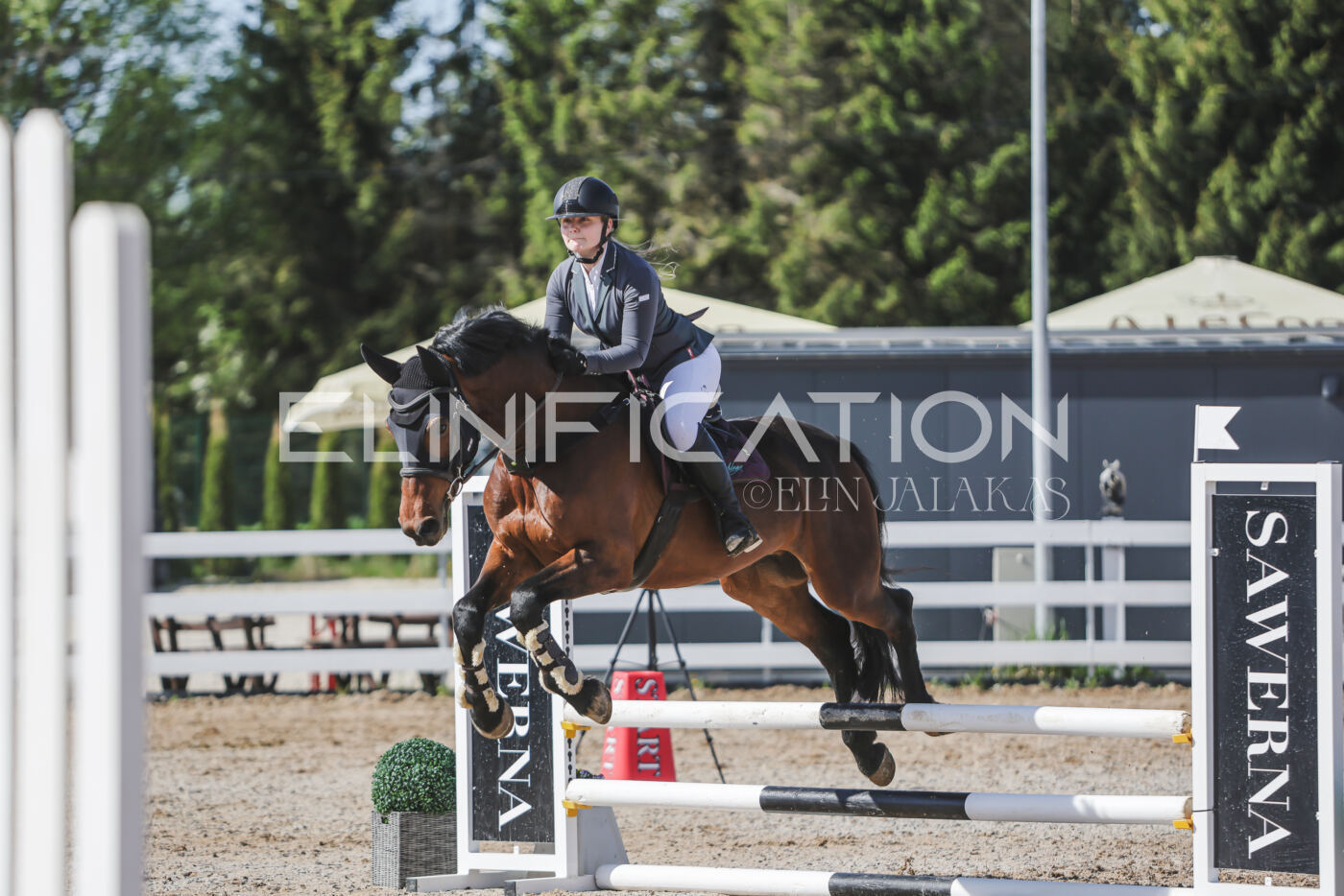 Gramina_Kevad_2026_80_159
