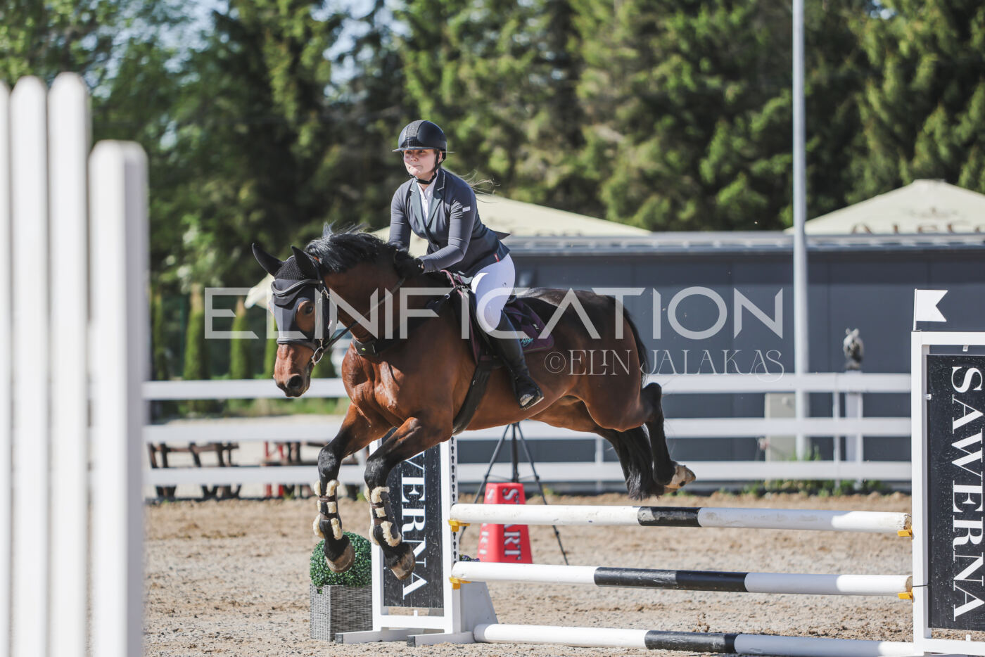 Gramina_Kevad_2026_80_160